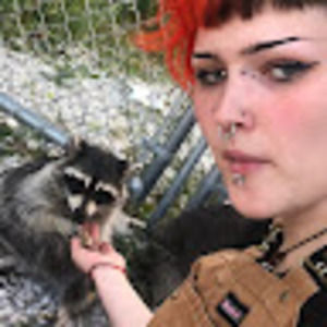 Meet your Posher, Trin